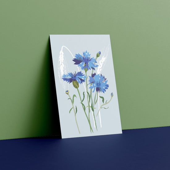 Postcard - Cornflower