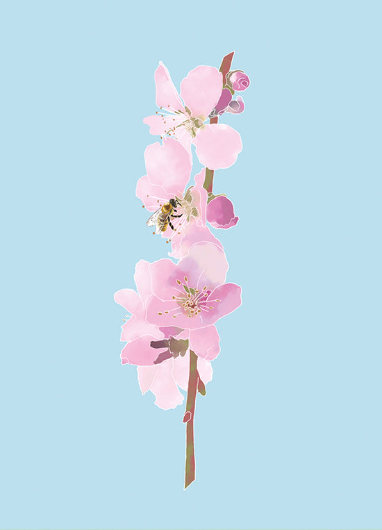 Kaart - Almond Blossom