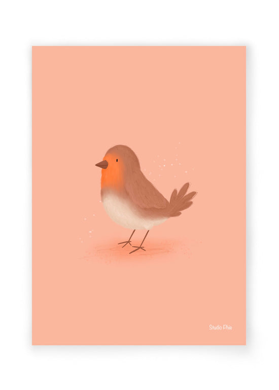 Postcard  -  Red Robin