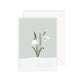 Postcard - Snowdrop