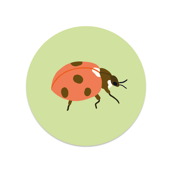 Ronde sticker - Lieveheersbeestje