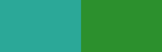 MT Masking Tape - Cutter Peacock x Green
